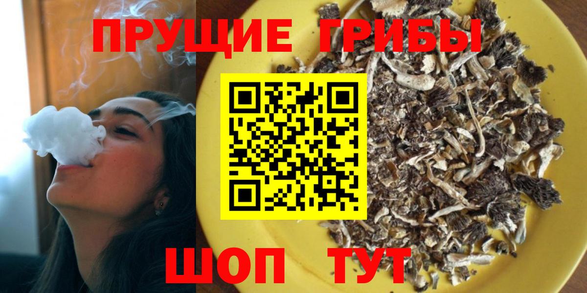Галлюциногенные грибы мухоморы Россошь